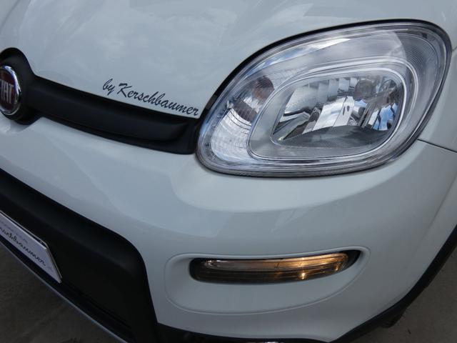 FIAT Panda usata, con Controllo vocale