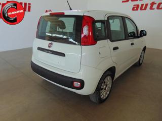 FIAT Panda usata, con Fendinebbia