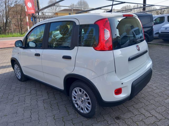 FIAT Panda usata, con Airbag Passeggero