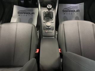 AUDI Q2 usata, con Fendinebbia