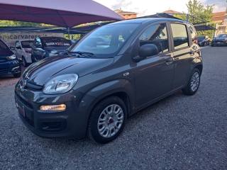 FIAT Panda usata, con Airbag Passeggero