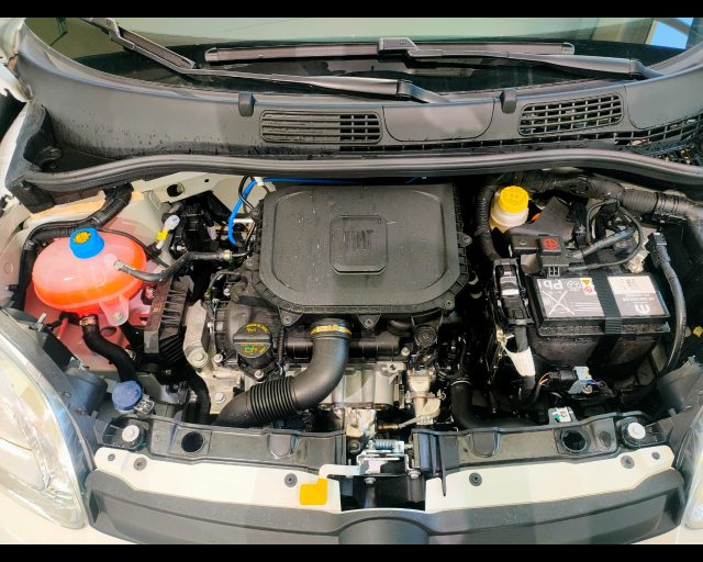 FIAT New Panda usata 23