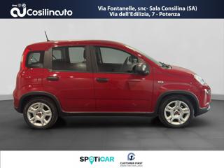 FIAT Panda usata, con Antifurto