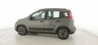 FIAT Panda usata 25