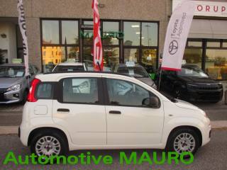 FIAT Panda usata, con Airbag testa