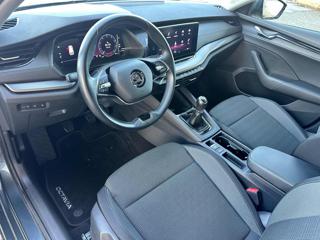 SKODA Octavia usata, con Controllo trazione
