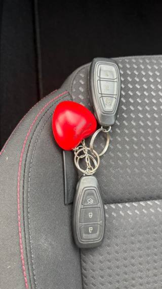 FORD Focus usata 14