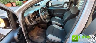 FIAT Panda usata 6