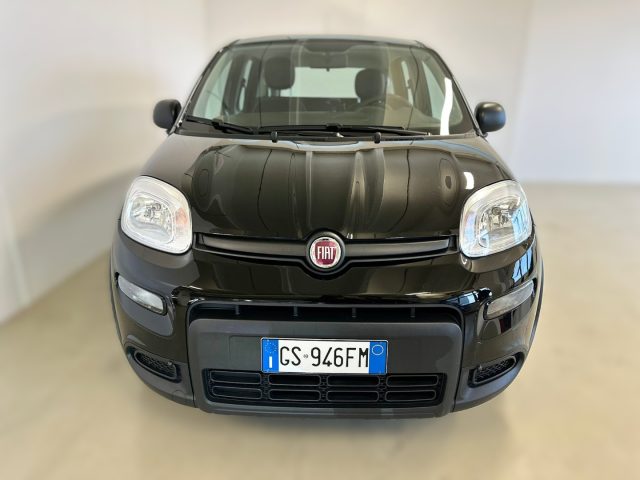 FIAT Panda usata, con Controllo trazione