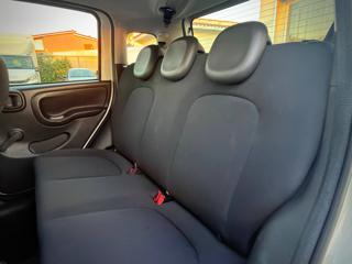 FIAT Panda usata 29
