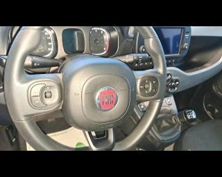 FIAT New Panda usata, con Fendinebbia