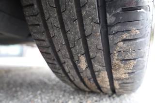 SKODA Octavia usata 170