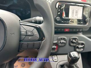 FIAT Panda usata, con Immobilizzatore elettronico
