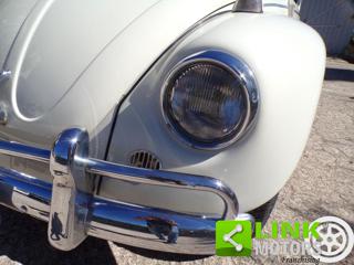 VOLKSWAGEN Maggiolino usata 8