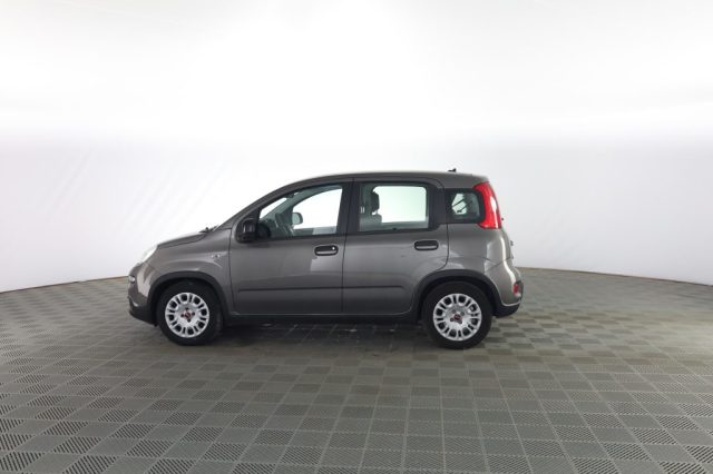 FIAT Panda usata 5