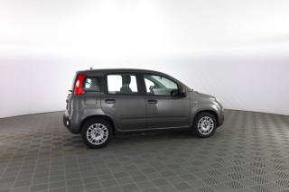 FIAT Panda usata 2