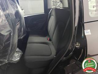 FIAT Pandina usata, con Controllo trazione