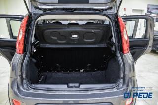 FIAT Panda usata, con Airbag testa