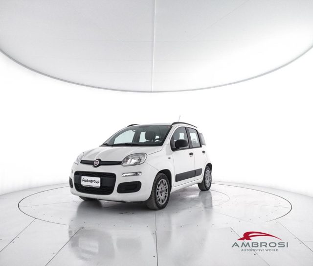 FIAT Panda usata 0