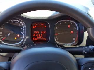 FIAT Panda Cross usata, con Servosterzo