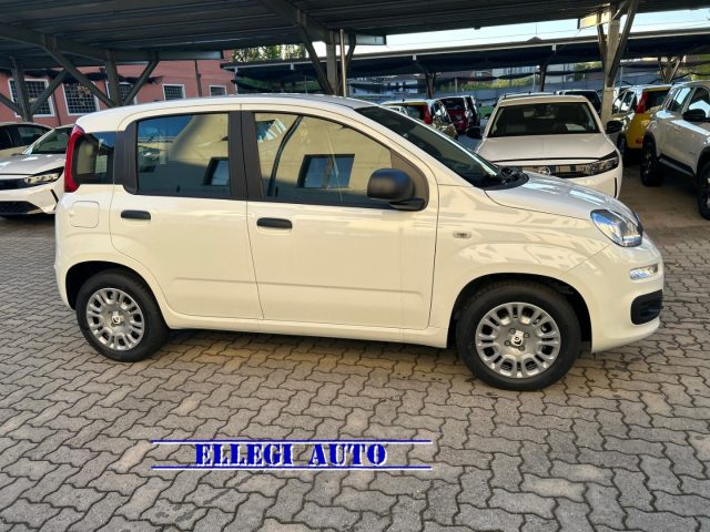 FIAT Panda usata, con ABS