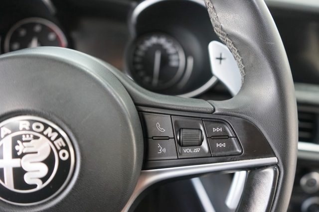 ALFA ROMEO Stelvio usata 55