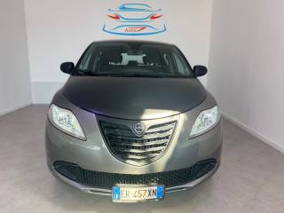 LANCIA Ypsilon 1.2 69 CV 5 porte Platinum