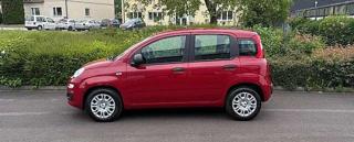 FIAT Panda usata, con Airbag Passeggero