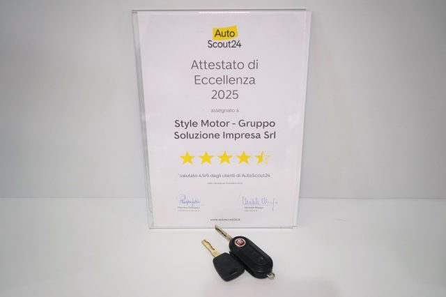 FIAT Punto usata, con Airbag testa