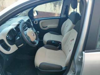 FIAT Panda usata, con Airbag Passeggero