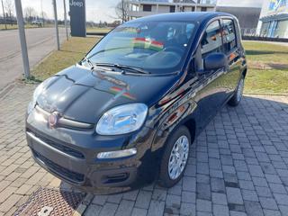 FIAT Panda usata, con Airbag