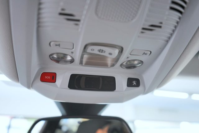 PEUGEOT 3008 usata 49