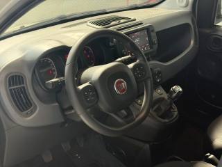FIAT Panda Cross usata, con Fendinebbia