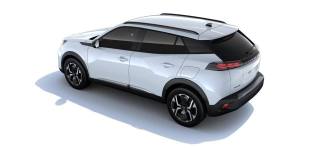 PEUGEOT 2008 usata, con Climatizzatore