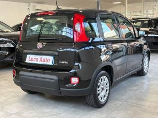 FIAT Panda usata, con Alzacristalli elettrici