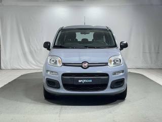 FIAT Panda usata, con Controllo trazione