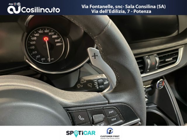 ALFA ROMEO Stelvio usata, con Fendinebbia