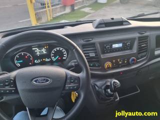 FORD Transit usata, con Fendinebbia