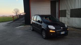 FIAT Panda usata, con Controllo trazione