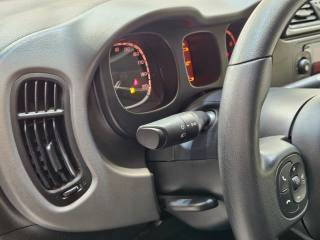 FIAT Panda usata, con Servosterzo