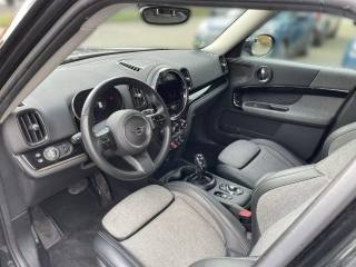MINI Countryman usata, con Alzacristalli elettrici