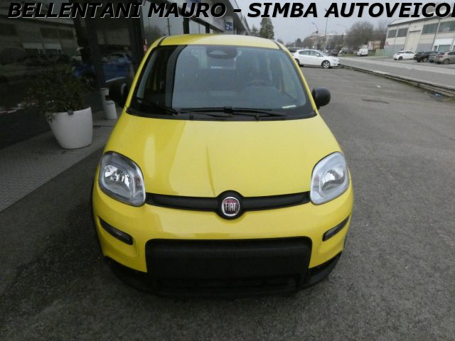 FIAT Panda usata, con Servosterzo