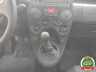 FIAT Panda usata 14
