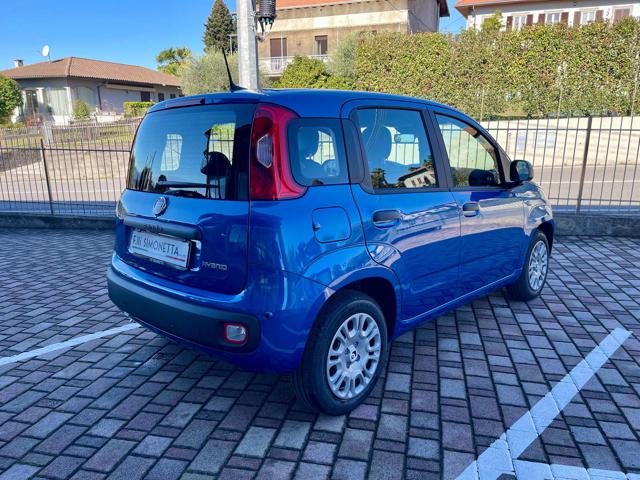 FIAT Panda usata, con Alzacristalli elettrici