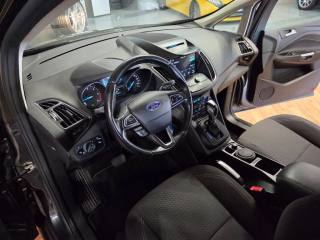 FORD C-Max usata, con Fendinebbia