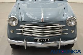 FIAT 1100 usata 43
