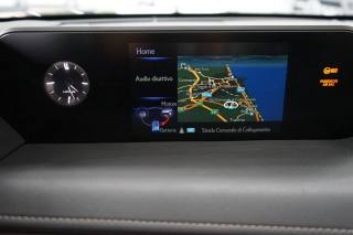 LEXUS UX 250h usata, con Servosterzo