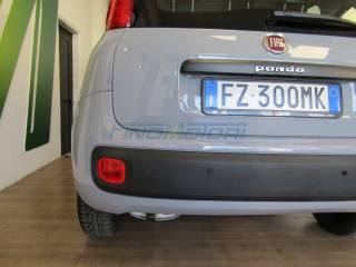 FIAT Panda usata, con USB