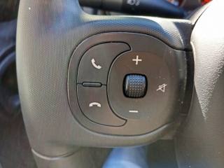 FIAT Panda Cross usata, con Specchietti laterali elettrici