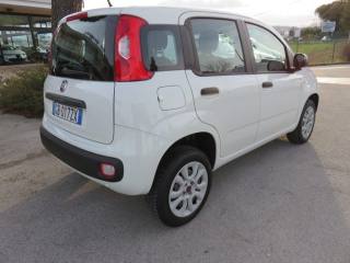 FIAT Panda usata, con Airbag Passeggero